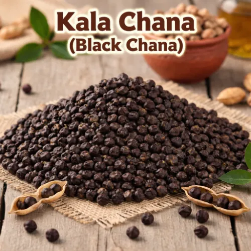 Kala Channa (Russia) / کالا چنا (روسی) - Product Image