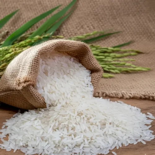 Kainat Kachi Rice (Export Quality – Camel Brand) - Product Image